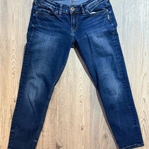 Silver Jeans Co. Suki Skinny Crop Jeans | W27 L25